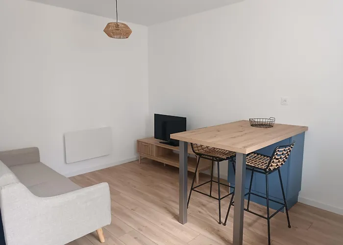 Appartement Moderne Et Boheme